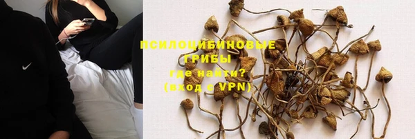 шишки Алзамай