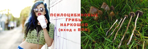 кокаин премиум Алексин