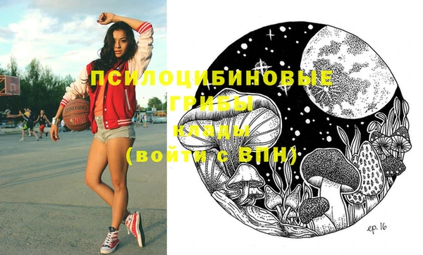 шишки Алзамай