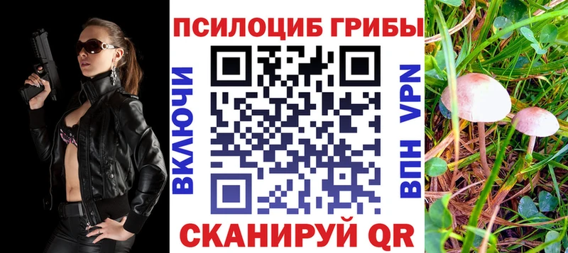 Псилоцибиновые грибы мицелий  Прохладный 