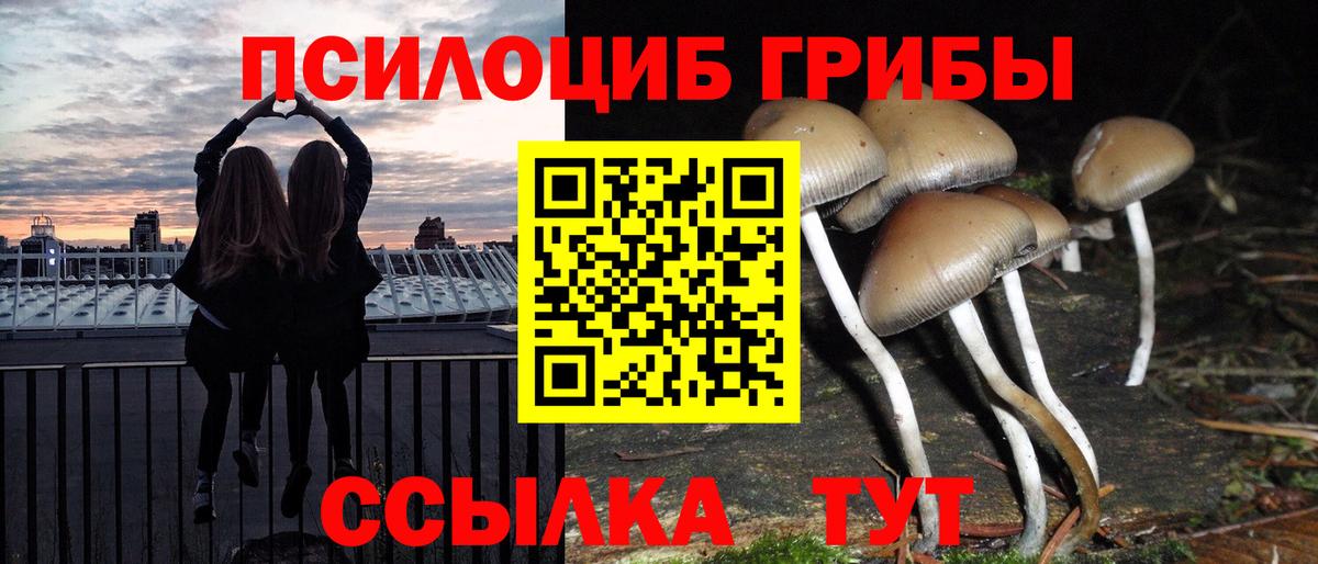 Псилоцибиновые грибы мухоморы Прохладный