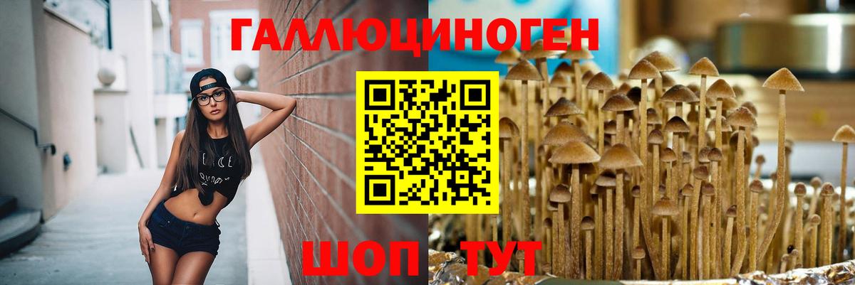 Псилоцибиновые грибы Psilocybine cubensis  Вход с VPN  Прохладный  Галлюциногенные грибы MAGIC MUSHROOMS 