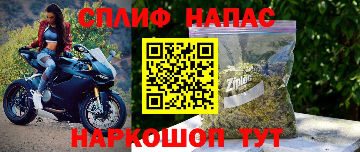Канабис план Прохладный